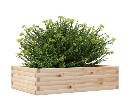 Aia Taimekast, 90X60X23 cm Männipuit