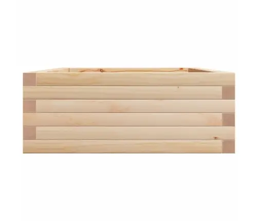 Aia Taimekast, 90X60X23 cm Männipuit