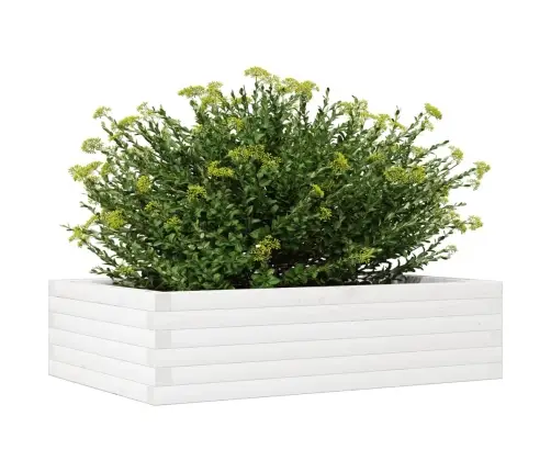 Dārza Puķu Kaste, Balta, 90X60X23 Cm, Priedes Masīvkoks Vidaxl