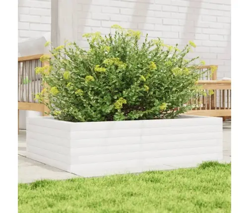 Dārza Puķu Kaste, Balta, 90X60X23 Cm, Priedes Masīvkoks Vidaxl