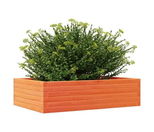 Aia Taimekast, Vahapruun, 90X60X23 cm Männipuit