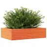 Aia Taimekast, Vahapruun, 90X60X23 cm Männipuit