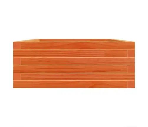 Aia Taimekast, Vahapruun, 90X60X23 cm Männipuit