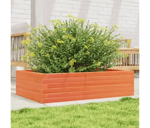 Aia Taimekast, Vahapruun, 90X60X23 cm Männipuit