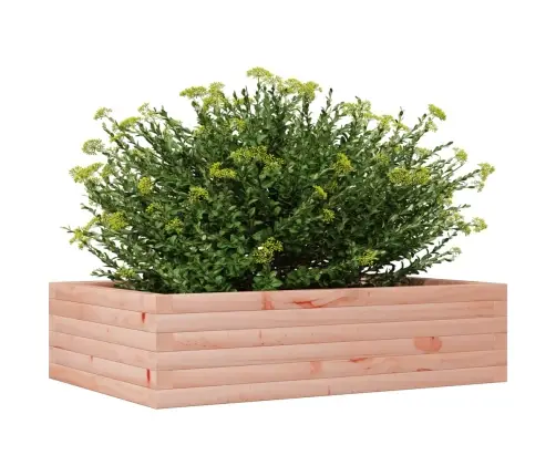 Aia Taimekast, 90X60X23 cm Ebatsuuga Puit