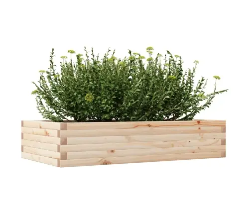 Dārza Puķu Kaste, 110X60X23 Cm, Priedes Masīvkoks Vidaxl