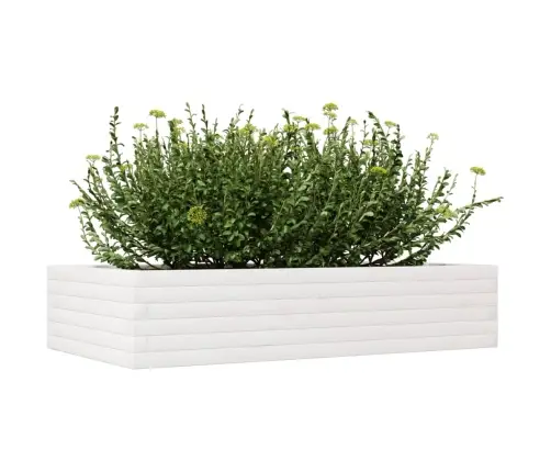 Aia Taimekast, Valge, 110X60X23 cm Männipuit