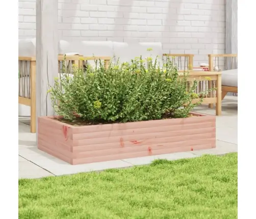 Sodo Lovelis, 110X60X23cm Douglas Eglės Medienos Masyvas