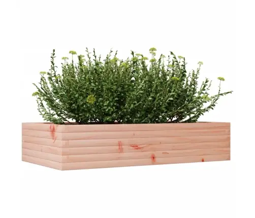 Sodo Lovelis, 110X60X23cm Douglas Eglės Medienos Masyvas