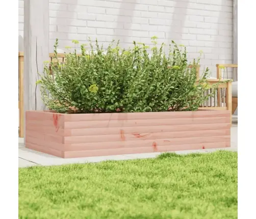 Sodo Lovelis, 110X60X23cm Douglas Eglės Medienos Masyvas