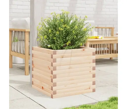 Sodo Lovelis, 50X50X45,5cm Pušies Medienos Masyvas