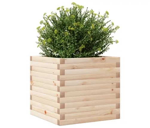 Sodo Lovelis, 50X50X45,5cm Pušies Medienos Masyvas