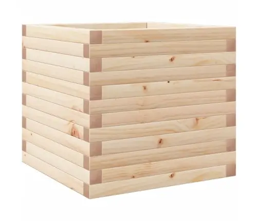 Sodo Lovelis, 50X50X45,5cm Pušies Medienos Masyvas