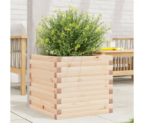 Sodo Lovelis, 50X50X45,5cm Pušies Medienos Masyvas