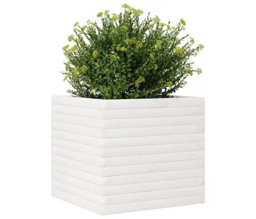 Dārza Puķu Kaste, Balta, 50X50X45,5 Cm, Priedes Masīvkoks Vidaxl