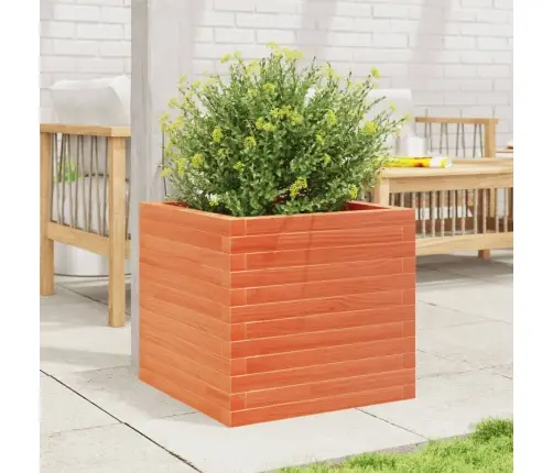 Aia Taimekast, Vahapruun, 50X50X45,5 cm Männipuit