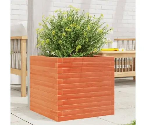 Aia Taimekast, Vahapruun, 50X50X45,5 cm Männipuit