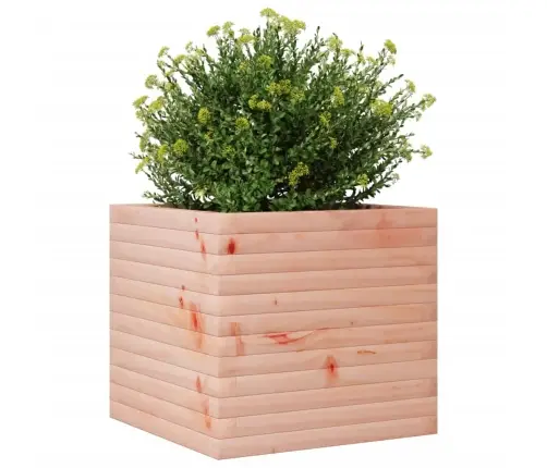 Dārza Puķu Kaste, 50X50X45,5 Cm, Duglasa Egles Masīvkoks Vidaxl