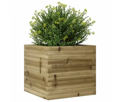 Dārza Puķu Kaste, 50X50X45,5 Cm, Impregnēts Priedes Koks Vidaxl