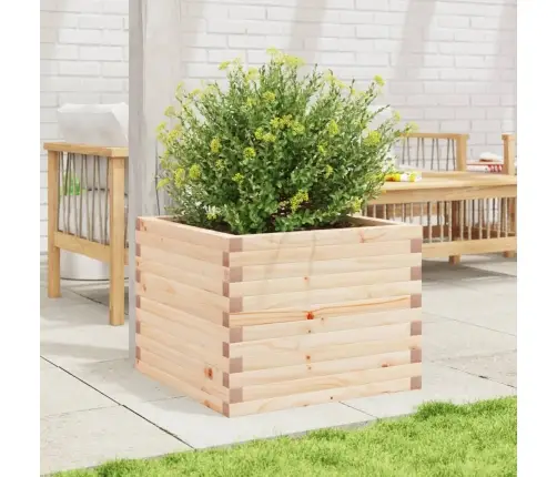 Aia Taimekast, 60X60X45,5 cm Männipuit