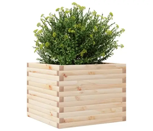 Aia Taimekast, 60X60X45,5 cm Männipuit