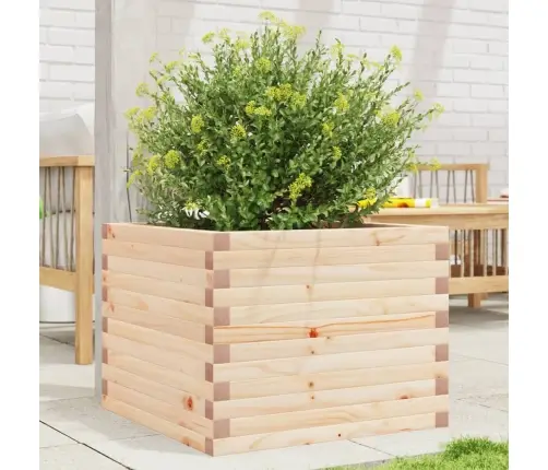 Aia Taimekast, 60X60X45,5 cm Männipuit