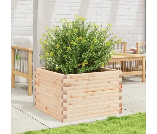 Sodo Lovelis, 70X70X45,5cm Pušies Medienos Masyvas