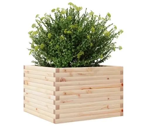 Sodo Lovelis, 70X70X45,5cm Pušies Medienos Masyvas