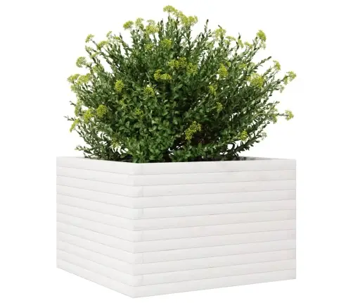 Dārza Puķu Kaste, Balta, 70X70X45,5 Cm, Priedes Masīvkoks Vidaxl