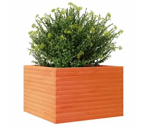 Dārza Puķu Kaste, Vaska Brūnas, 70X70X45,5Cm, Priedes Masīvkoks Vidaxl