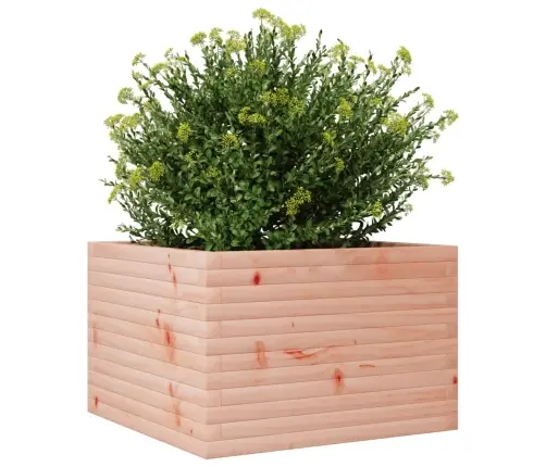 Aia Taimekast,70X70X45,5 cm Ebatsuuga Puit