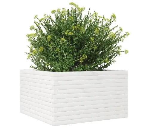 Aia Taimekast, Valge, 80X80X45,5 cm Männipuit
