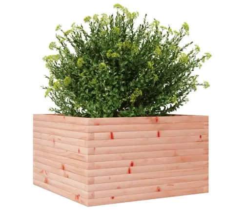 Sodo Lovelis, 80X80X45,5cm Douglas Eglės Medienos Masyvas