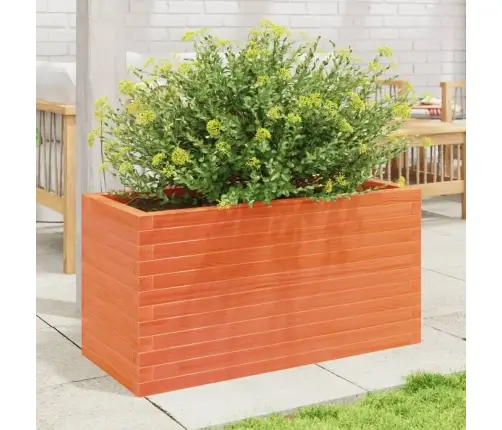 Aia Taimekast, Vahapruun, 90X40X45,5 cm Männipuit