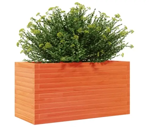 Aia Taimekast, Vahapruun, 90X40X45,5 cm Männipuit