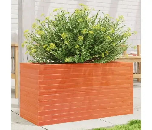 Aia Taimekast, Vahapruun, 90X40X45,5 cm Männipuit