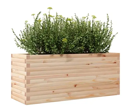 Aia Taimekast, 110X40X45,5 cm Männipuit