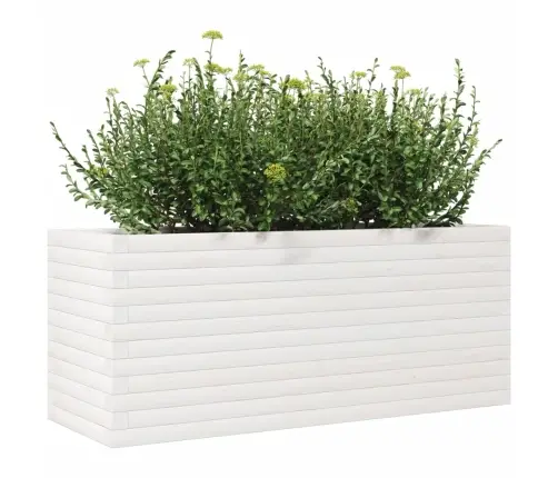 Dārza Puķu Kaste, Balta, 110X40X45,5 Cm, Priedes Masīvkoks Vidaxl