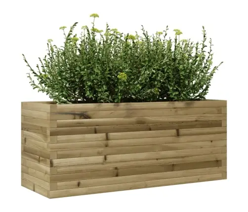 Aia Taimekast, 110X40X45,5 cm Immutatud Männipuit