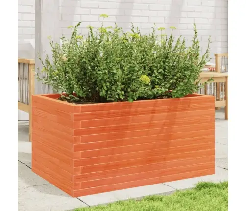 Aia Taimekast, Vahapruun, 90X60X45,5 cm Männipuit