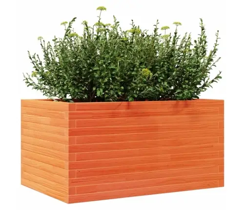 Aia Taimekast, Vahapruun, 90X60X45,5 cm Männipuit