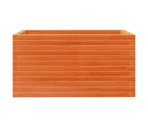 Aia Taimekast, Vahapruun, 90X60X45,5 cm Männipuit