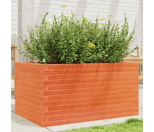 Aia Taimekast, Vahapruun, 90X60X45,5 cm Männipuit