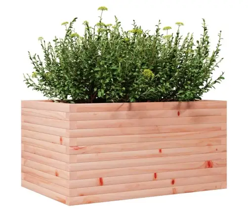 Sodo Lovelis, 90X60X45,5cm Douglas Eglės Medienos Masyvas