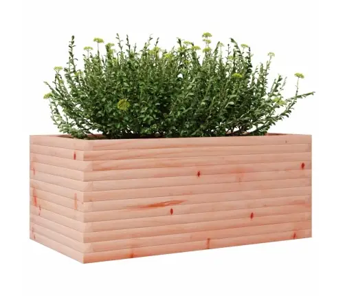 Dārza Puķu Kaste, 110X60X45,5 Cm, Duglasa Egles Masīvkoks Vidaxl
