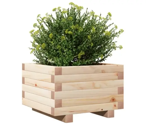 Sodo Lovelis, 40X40X26,5cm Pušies Medienos Masyvas