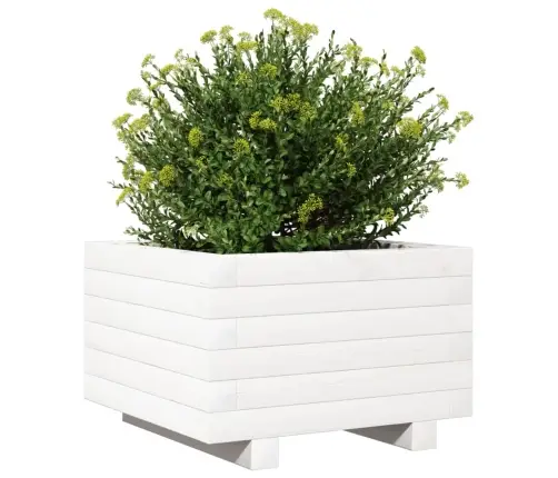 Dārza Puķu Kaste, Balta, 40X40X26,5 Cm, Priedes Masīvkoks Vidaxl