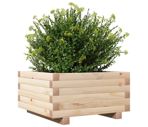 Dārza Puķu Kaste, 50X50X26,5 Cm, Priedes Masīvkoks Vidaxl
