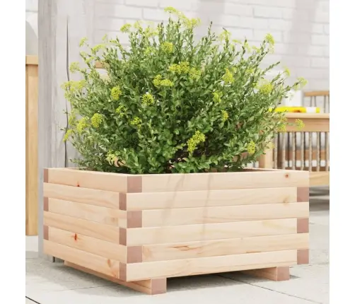 Dārza Puķu Kaste, 50X50X26,5 Cm, Priedes Masīvkoks Vidaxl