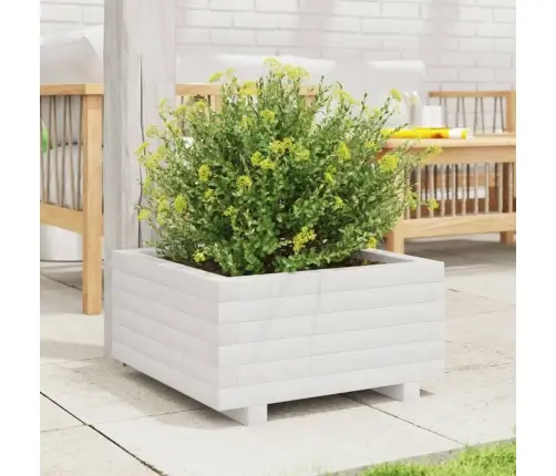 Aia Taimekast, Valge, 50X50X26,5 cm Männipuit